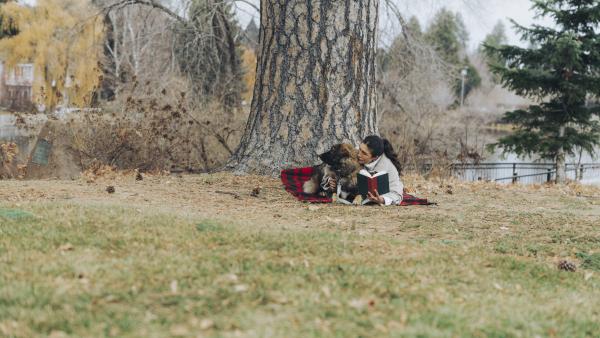 A dog and a woman enjoy an autumn picnic in the park