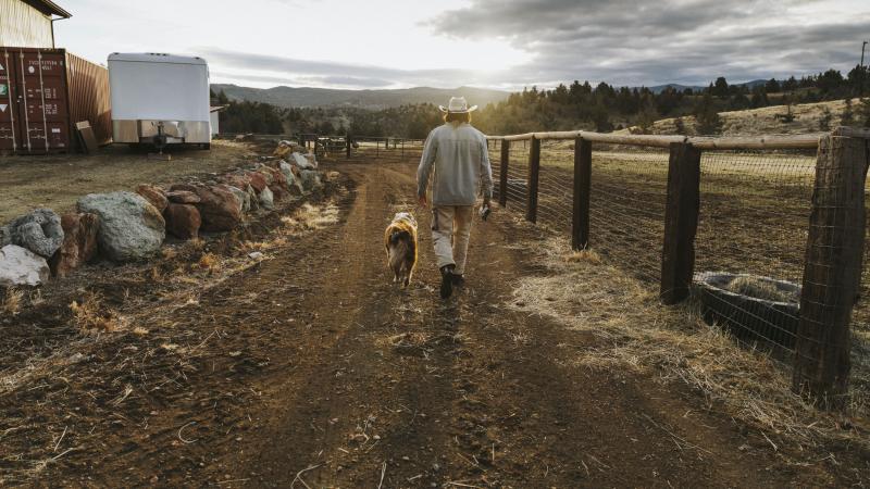 A dog walks with a cowboy on a dirt road