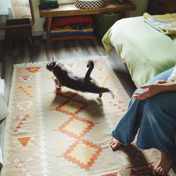 Gray cat stretching leg while owner watches from bed.