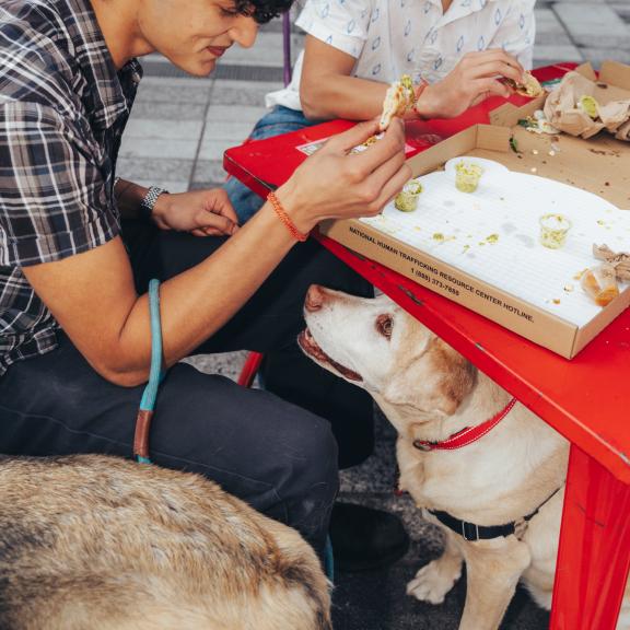 Yellow dog sitting under table watching owner eat food.
