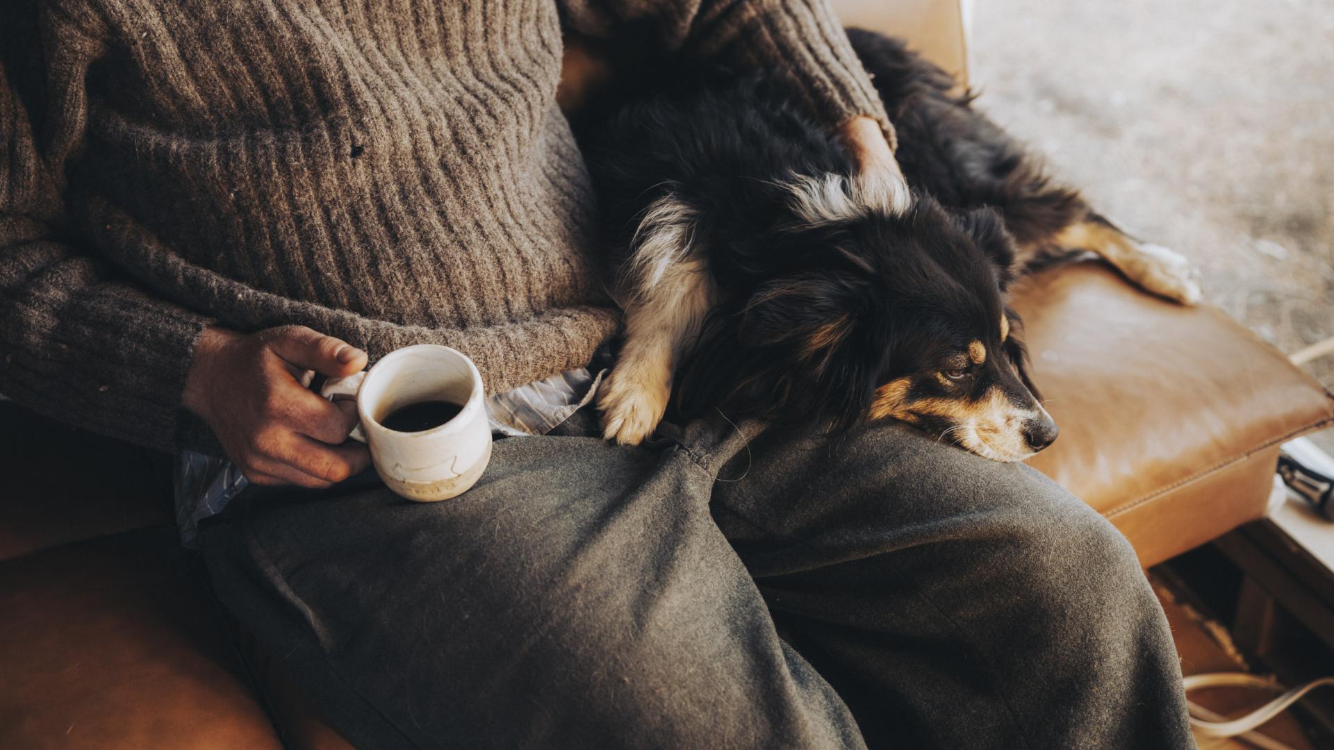 Small dog cuddling owner sitting on a couch with a cup of coffee.