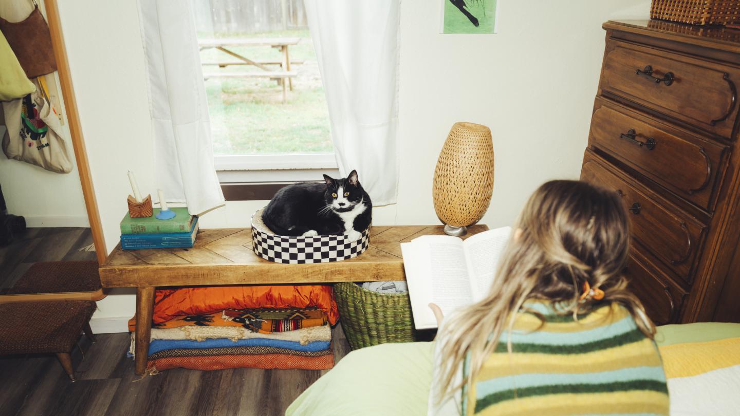 a black cat watches a woman reading