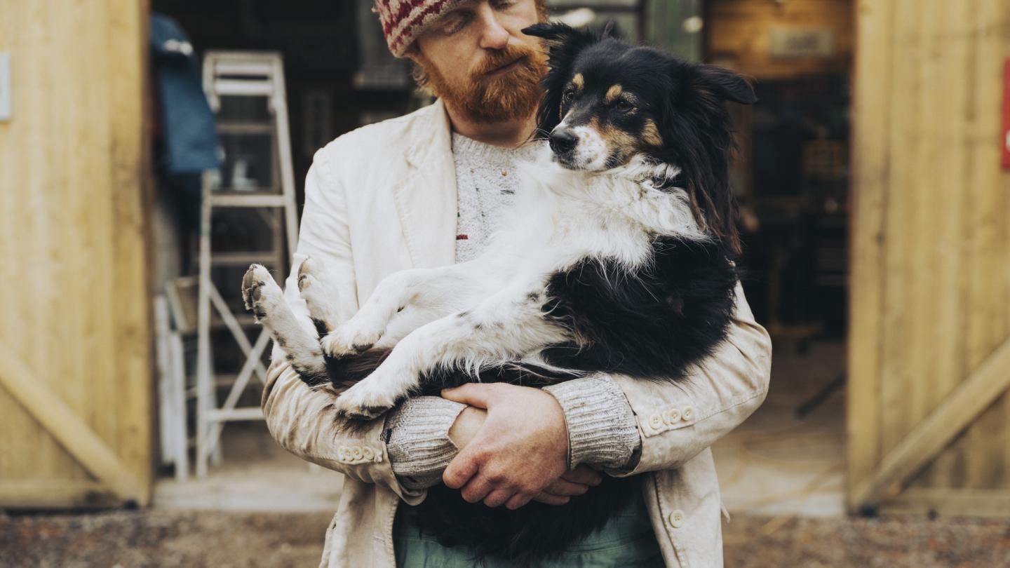 Dog held by owner affection